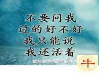 江苏智库贸易有限公司