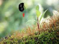 江苏智库贸易有限公司