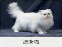 江苏智库贸易有限公司