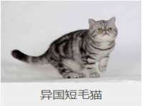 江苏智库贸易有限公司