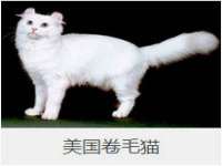 江苏智库贸易有限公司
