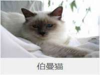 江苏智库贸易有限公司