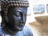 江苏智库贸易有限公司