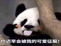 江苏智库贸易有限公司