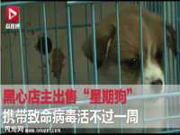江苏智库贸易有限公司