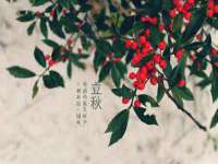 江苏智库贸易有限公司