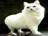 江苏智库贸易有限公司