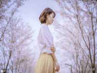 江苏智库贸易有限公司