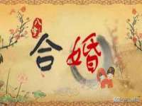 江苏智库贸易有限公司