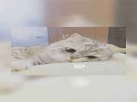 江苏智库贸易有限公司