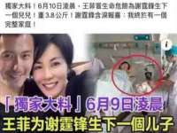 江苏智库贸易有限公司
