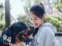 江苏智库贸易有限公司