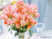 江苏智库贸易有限公司