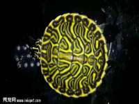 江苏智库贸易有限公司